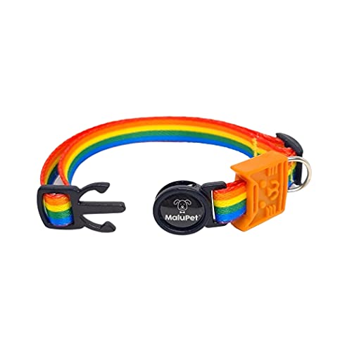 Coleira Arco-Íris para Gato