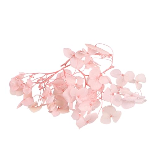 Pétalos secos preservados de hortensia rosa