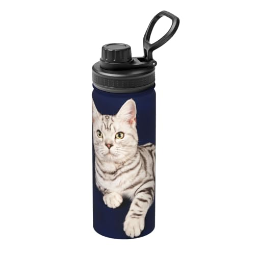  L L ʔ ˂  ^fM ۉ ۗ X|[c{g lC XeX{g X|[cΉ RȂ 530ml j̎q ̎q l q ObY LN^[ G