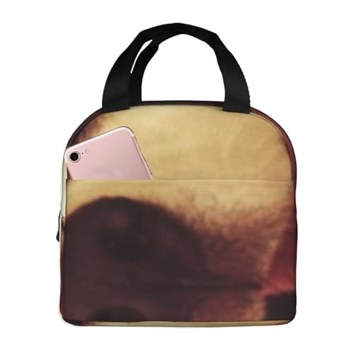 ۗ⃉`obO e h MRh~ ŏv ʋ΁AʊwAAEghAɕ֗ jp (rtH[hʔnXL[)