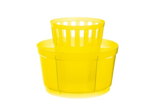 Dimensioni 15 cm Excelsa Rainbow Scolaposate Tondo, 15 cm, Polipropilene, Giallo