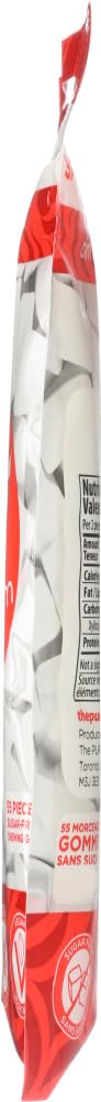 Pur Gum Cinnamon Gum, 80 Gram - 57 pieces per pack - 12 packs per case. thumbnail 4
