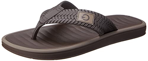 CARTAGO Chinelo Coimbra masculino, Marrom/Marrom, 40