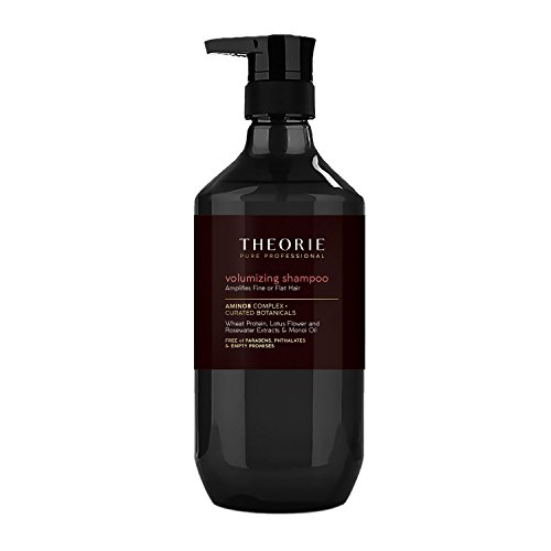 Theorie Volumizing Shampoo 13.5 fl.oz.