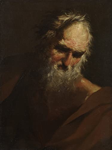 Cuadro en lienzo Cabeza de hombre barbudo de Salvator Rosa para oficina 60x90cm