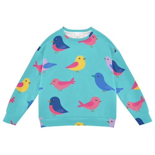 JUNZAN Cute Cartoon Birds Blue Little Boys Hoodie Sweatshirt Fleece Sweatshirts for Boys Party 4T