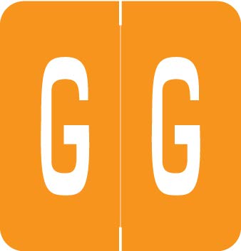 Doctor Stuff - File Folder Labels, Ringbook Sheets Alphabet Letter G, VRE/GBS 8850 - VRAM Series Compatible Alpha Stickers, Orange, 1.3" x 1.25", 200/Package