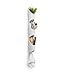Umbra Floralink Wall Vessel, Linking Wall Vessel Air Planter, Hang on Your Wall or from The Ceiling, Great as Indoor Planters or for Organizing Beauty Tools, Accessories and More