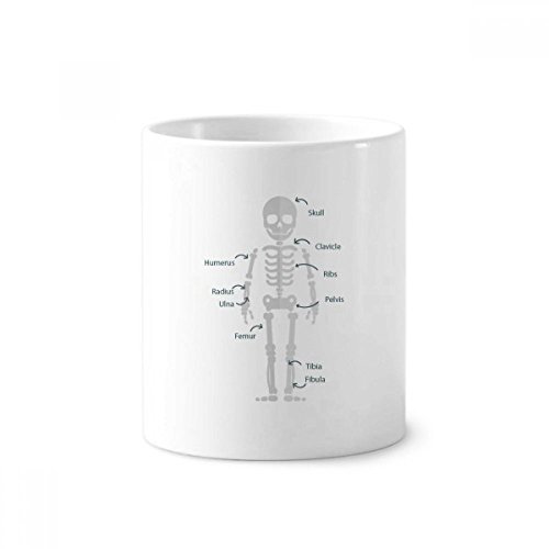 Tasse blanche multicolore motif os pour organiser votre bureau et salle de bain