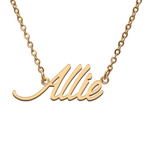 GR859C Allie Name Tag Necklaces for Her His Friends Familys Relationship Memory Jewelry Gift