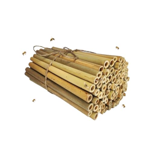 INature Solitary Bee Bamboo Tubes - 4" Length, Pack of 100, Perfe...