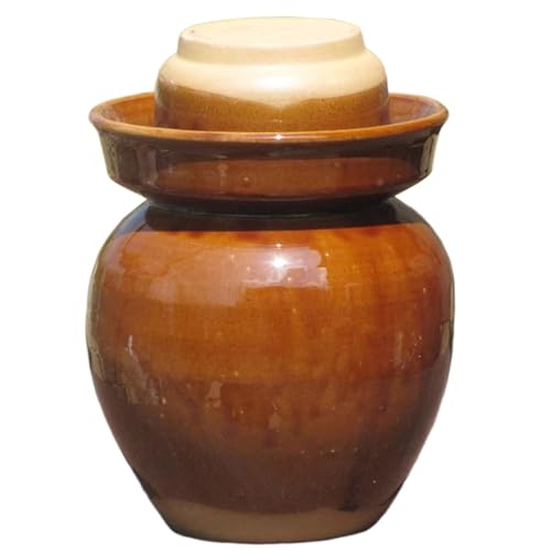 PXAMORTEL Vaso per sottaceti in Ceramica, Vaso di fermentazione in Ceramica, Vaso di fermentazione, Vaso di fermentazione in Porcellana Cinese Tradizionale, Vaso di fermentazione in gres(C,2L)