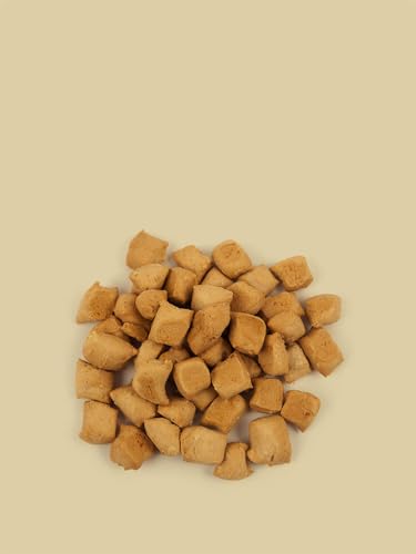 Keksdieb Buttermilch-Kokos-Tropfen | 100 g | Vegetarisches Hundeleckerli | Extra köstliche Geschmacksabwechslung mit Kokos | Mit Bio-Dinkelmehl von Hand gebacken | Weizenfrei