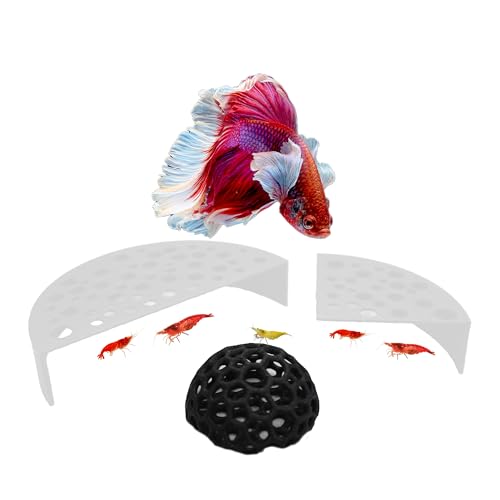 Image of CTWPets Shrimp Breeding Protection Set, 3-Pack Bundle with Hide Dome, Half Protector, Breeding Protector (White)
