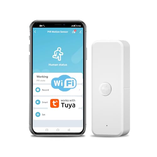 Détecteur capteur de Mouvement WiFi pour Boite Aux Lettres etou ou Autres