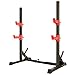 Adjustable Barbell Rack 250kg Max Load Squat Racks Multifunctional Weight Benches Squat Rack Squat Stand Dipping Station Free Bench Press Stands Home Fitness
