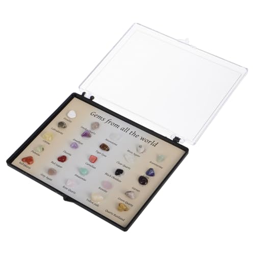 Housoutil Educational Rock and Mineral Collection Box 25 Mini Crystal Specimens Set for Boys and Girls' Exploration and Learning