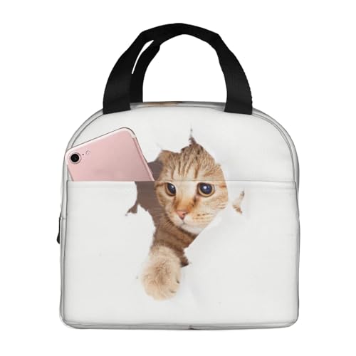 `obN L ۗ ٓobO  RpNg ^ѕ֗ p肳obO ~jg[gobO ʋ ʍZ s