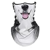 [Boono] フェイスマスク アニマル ネックウォーマー バラクラバ 目出し帽 ハロウィン バイク スキー (ハスキー犬)