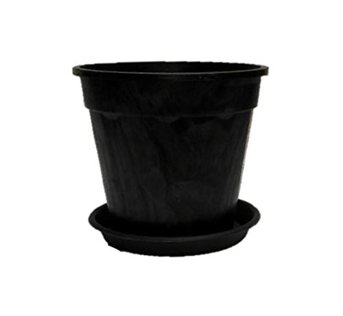 Root Bridges 6″ Colourful Grower Plastic Pot with Plate/Saucer (Pack of 3) (Black) Flower Pot Gamla for Indoor Plants, Gardening, Balcony Garden Flowers, Home Decoration Pots