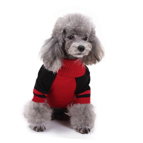 Disfraz de perro Halloween con calavera tamaño XL miniatura 5