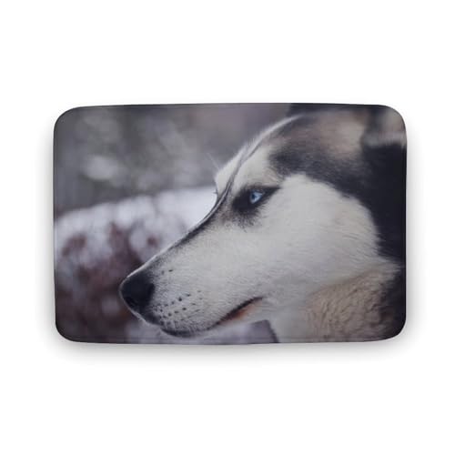 Č  L  oX}bg z/唻 փ}bg  O   \ ~ Aj LN^[ @}bg   ʏ