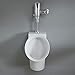 American Standard 6042001EC.020 Decorum 0.125 GPF High Efficiency Urinal With Top Spud, White