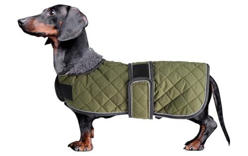 MOREZI Hundemantel Winter für Dackel - Wasserdichter Hunde Pullover mit Wolle Futter & Verstellbaren Gurten, Warmer Wintermantel für Kleine Hunde im Freien-Grün-M