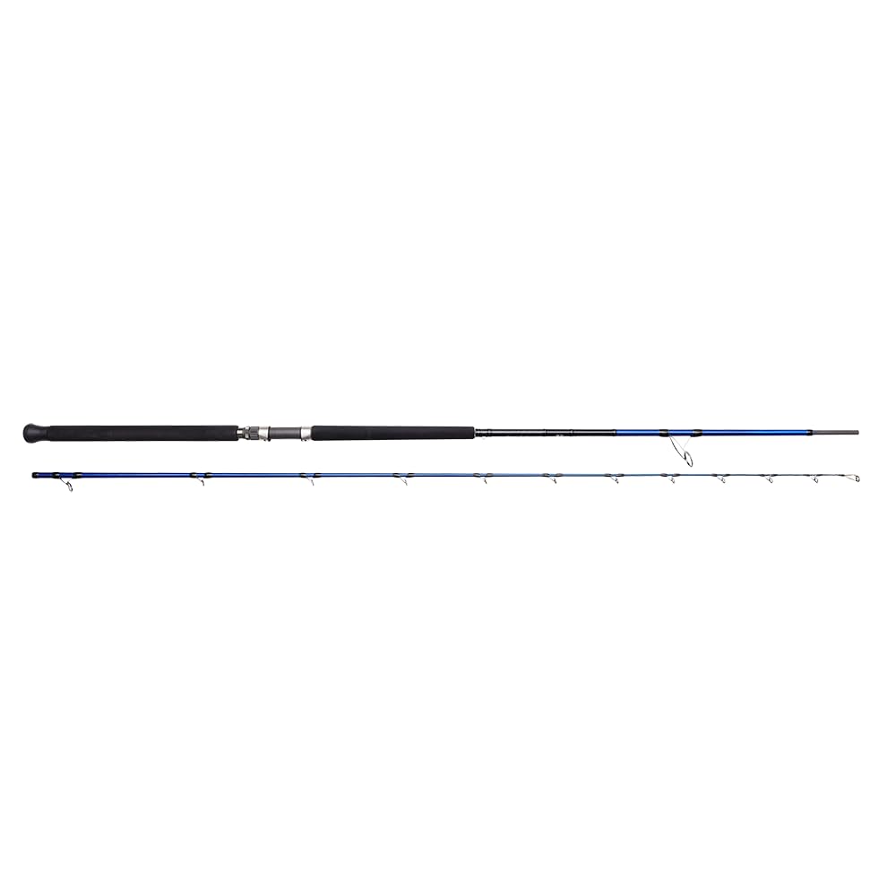 SGS Salzwassercombo Medium 3,05 m 30–100 g mit 5000 FD Spinnrolle | 2-teilig, Shore Jigging, salzwasserfest, für Küsten- und Meeresangeln