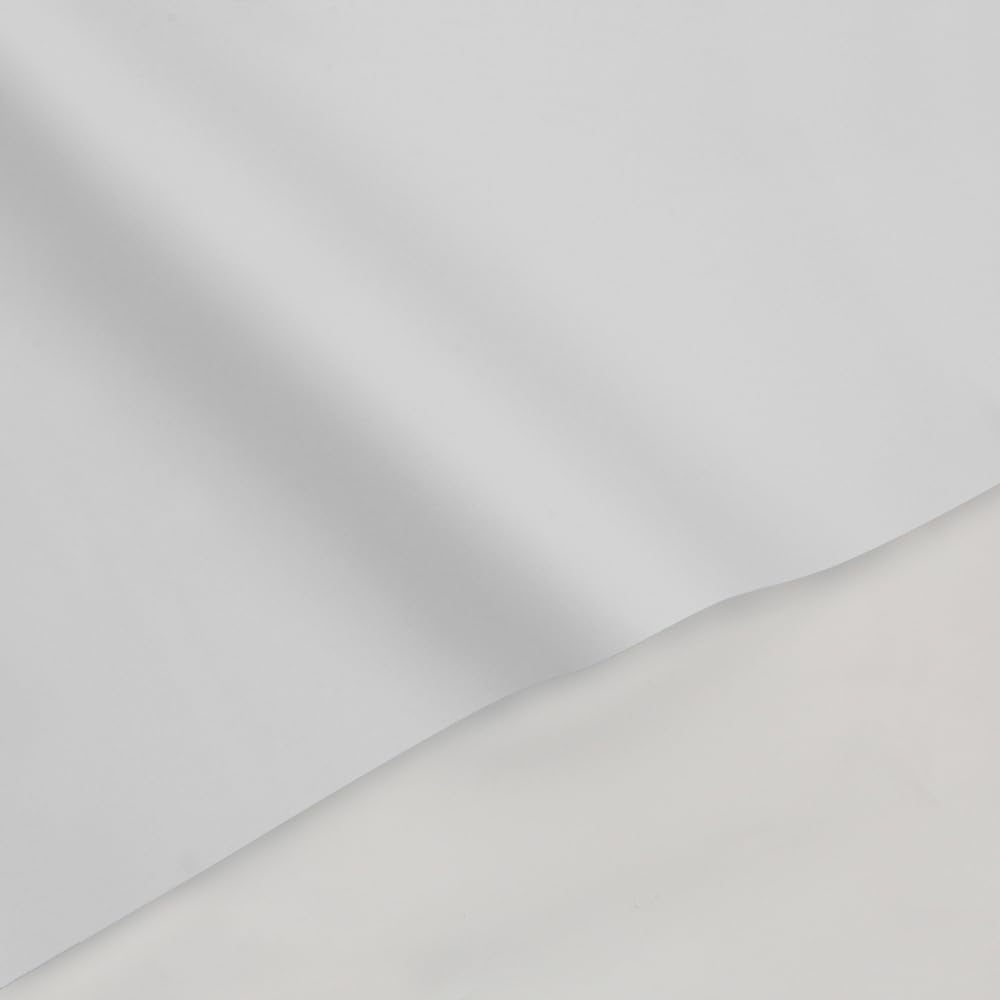 South Bend Components Cordless Roller Shades for Windows Door Blinds Light Filtering Roller Blinds & Shades (23 inch Width-White)