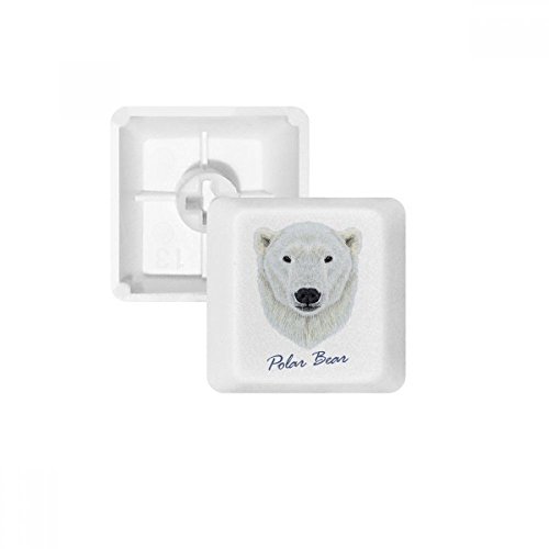 Keycaps PBT ours polaire blanc du Nord sauvage sans marquage OEM pour clavier mécanique