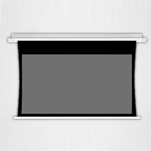 ZenSeFarin écran De Projection 3D, écran Professionnel à Tension électrique Encastré Au Plafond, Tissu Gris Argenté, Idéal pour Le Home Cinéma Et Les...