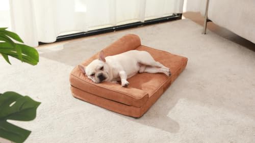 Image of Rainmr Microsuede Dog Bed Orthopedic Washable - Small Medium XLarge Dogs - Memory Foam Couch Sofa with Waterproof Removable Cover, 30x20 Inches, Khaki