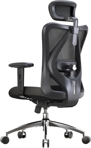 SIHOO Silla de Oficina Ergonómica Giratoria con Reposacabezas y Soporte Lumbar - Negro