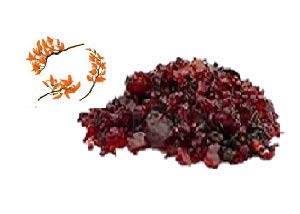 Organicgreen Herb Kamarkas gond | Palash Gond | kamarkas gond - 100GMS (B08CHMNWGH) Amazon Price History, Amazon Price Tracker