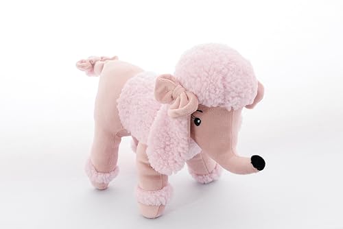 Zip - Sophie Cachorro Poddle