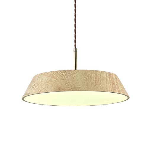 Luminaire pour la chambre élégant en fer art avec source de lumière tri-couleur