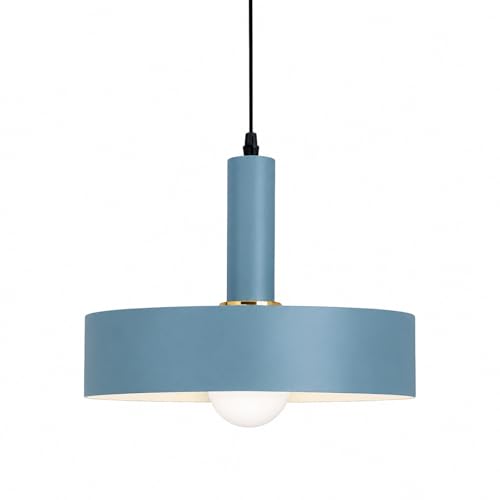 HJXDtech Suspension Luminaire Moderne en Métal de 30cm, Coloré Rond Lustre Suspendue E27 Lampe au Plafond pour Salon,Cuisine, Salle à Manger, Pub et Café...
