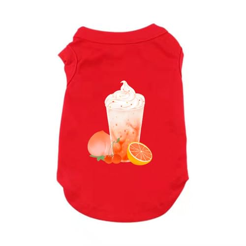 [QINTIW] ybg   ybg    j̎q ̎q t  v[g a іh~  U bh ΍ p^Ngbv t Ă΍ 畆ی V C U ڐG⊴  ^Ngbv XX