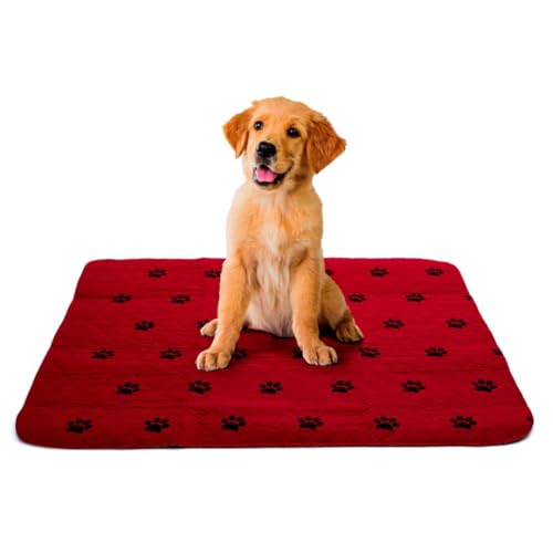 MAS QUE AYUDAS – Empapador de Adiestramiento para Perros, 50 x 90 cm, 5 Capas, Almohadilla Reutilizable, Absorbente e Impermeable, Incontinencia y Cuidados para Mascotas