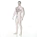 Produktbild Morphsuits MPBDM2 - Gummipuppe Männerpuppe  Morphsuit Erwachsene Kostüme XXL 6 Zoll 1 - 6 Zoll 9, 186 cm - 210 cm, XXL, Multi