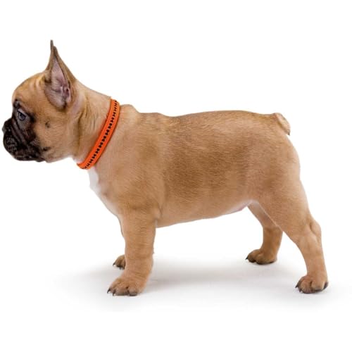 HUNTER POWER GRIP VARIO BASIC Hundehalsung, Hundehalsband, Nylon, gepolstert, strapazierfähig, M, orange