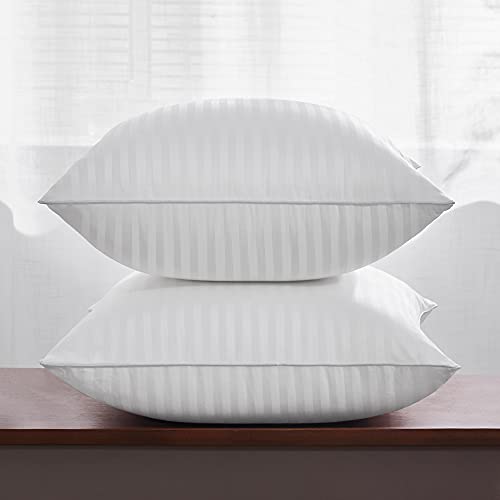 Oubonun 22 x 22 Throw Pillow Inserts, Firm and Fluffy Decorative Square Pillows for Couch Bed Sofa with Soft Cotton Cover White Cushion with Down Alternative Pack of 2