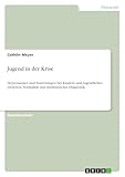 GRIN Verlag