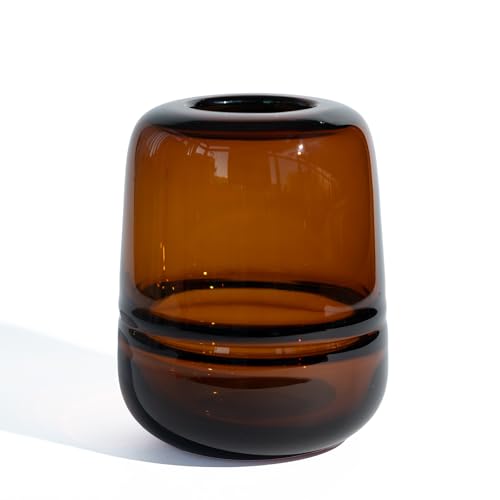 Relexome Amber Glass Flower Vase for Centerpieces Flowers 6.7 Inch Round Modern Glass Bud Vase Decorative Vases for Home Decor Living Room Dining Table Entryway Shelf Office