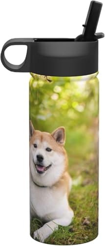 Č  G 킢  ^fM ۉ ۗ X|[c{g lC XeX{g X|[cΉ RȂ 530ml j̎q ̎q  v[g