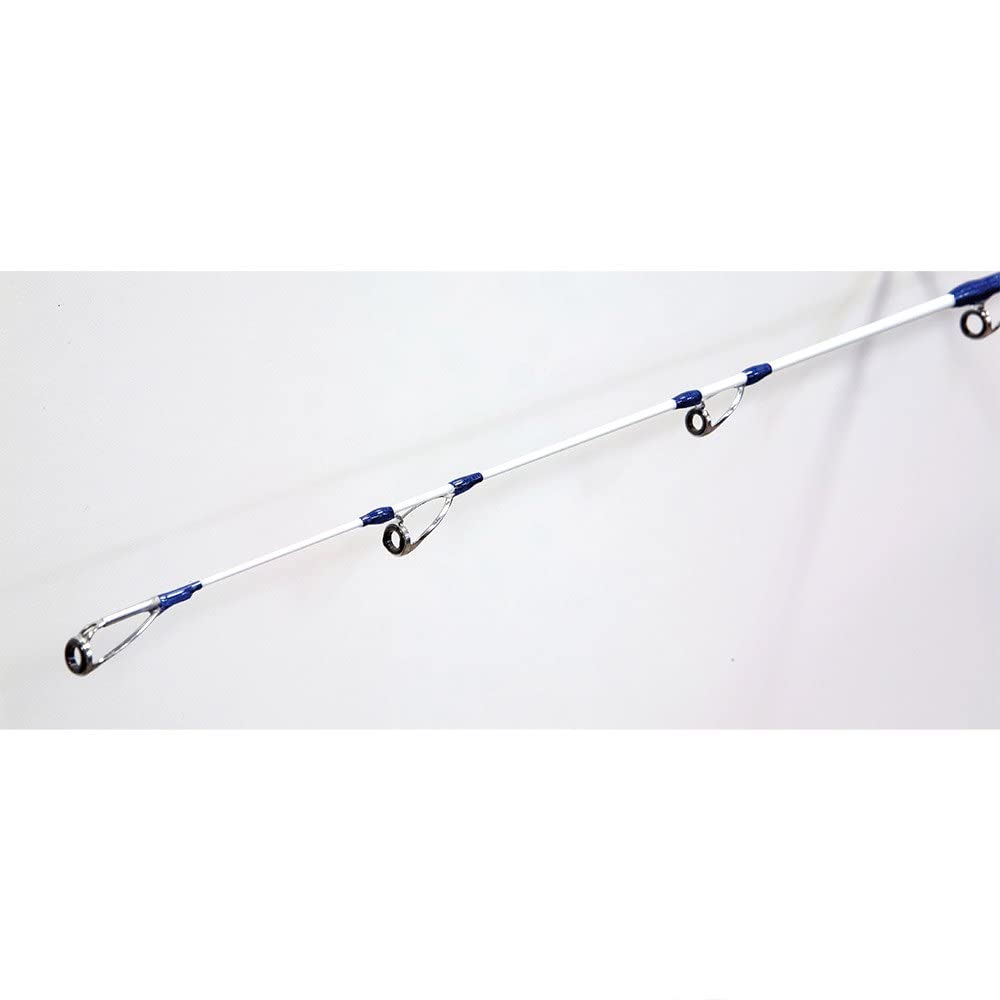 Daiwa Emblem Surf Type R Beste strandhengel- Wesidjk Hengelsport