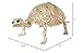 Halloween Turtle Skeleton, Halloween Decoration, Halloween Prop Decor, Haunted House Party Decoration