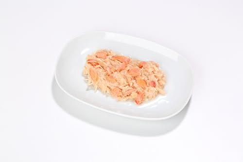 Almo Nature HFC Jelly - Nassfutter für ausgewachsene Katzen - Lachs & Huhn - Human Grade, Glutenfrei - 6 x 70g