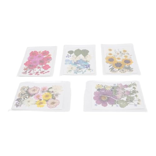 100 Flores prensadas secas para manualidades tipo 2 miniatura 7